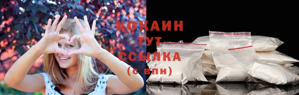 гашик Каменск-Шахтинский