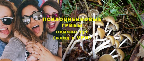 дживик Каменка