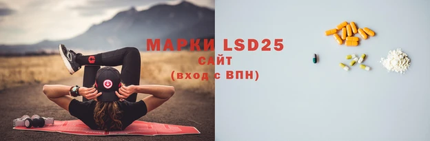 Альфа ПВП Каменногорск