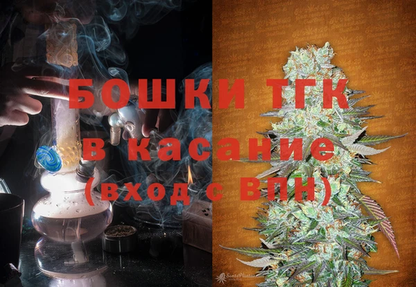 дживик Каменка