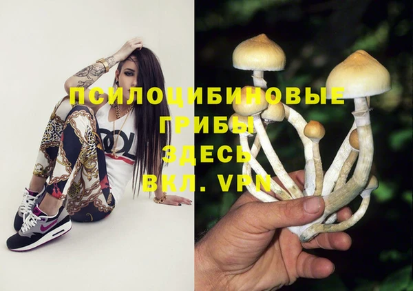 дживик Каменка