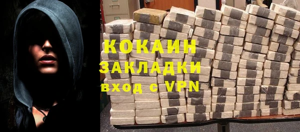дживик Каменка