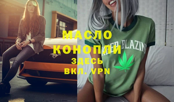 дживик Каменка
